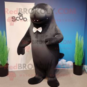 Black Stellar S Sea Cow...