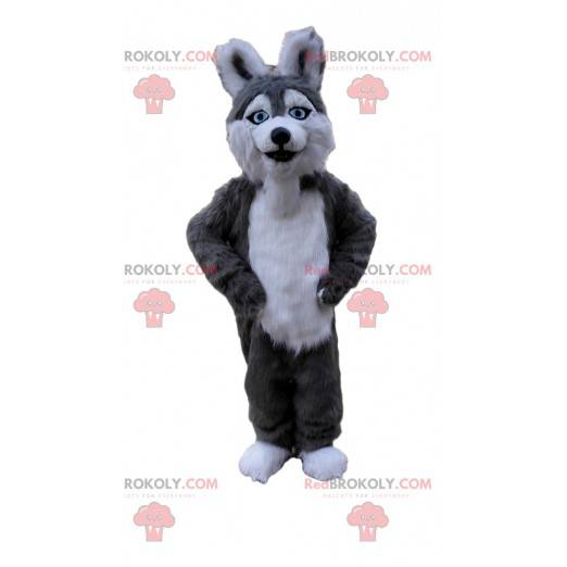 Husky dog mascot, gray and white wolfdog costume -