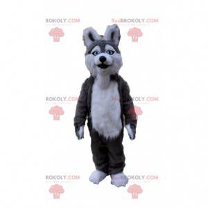 Mascotte de chien husky, costume de chien-loup gris et blanc -