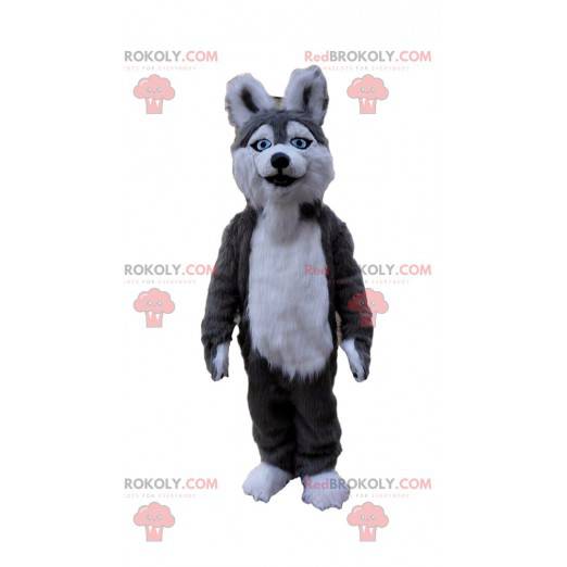 Husky pies maskotka, szary i biały kostium wilczaka -