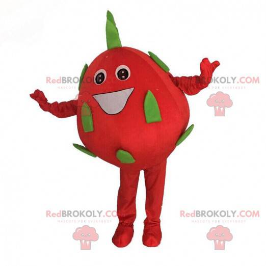 Mascote da fruta do dragão, fantasia de pitaya gigante -