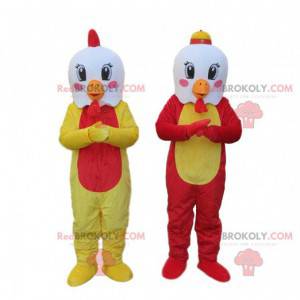 Mascots of white chickens with colored bodies, roosters