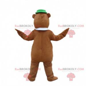 Yogi björnen maskot, berömda seriefigur - Redbrokoly.com