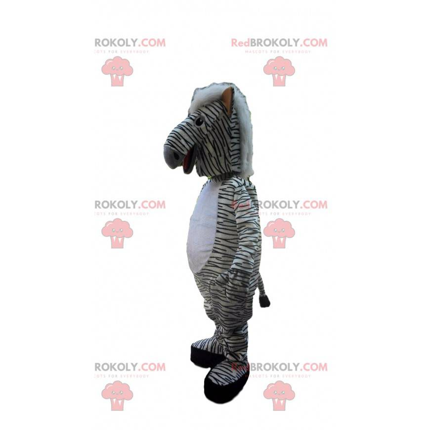 Mascot hvit sebra med svarte striper, afrikansk dyr - Mascot hvit sebra med svarte striper, afrikansk dyr -