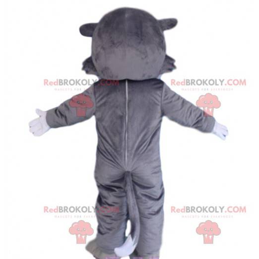Gray and white wolf mascot with yellow eyes, wolf costume -