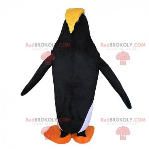 Penguin mascot from the cartoon "The kings of sliding". -