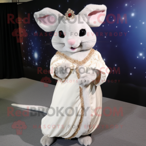 Cream Chinchilla maskot...