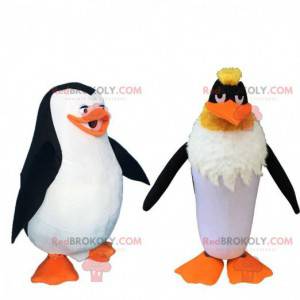 2 famosas mascotas de dibujos animados, un pingüino y un