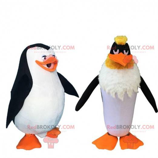 2 berömda tecknade maskotar, en pingvin och en pingvin -