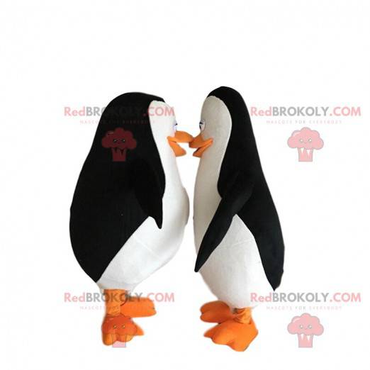 2 mascottes de pingouins "Les pingouins de Madagascar" -