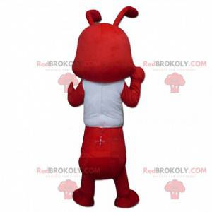 Formiche rosse mascotte vestite di bianco. Formiche giganti -