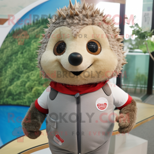  Hedgehog maskot kostym...