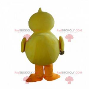 Mascotte de gros canard jaune et orange, costume de canari -