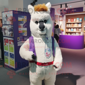 Lavendel Alpaca mascotte...