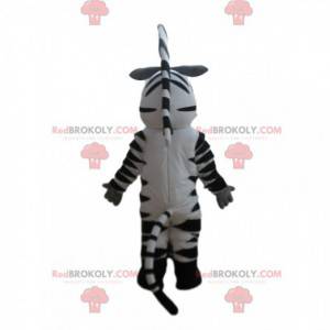 Mascot Marty, the famous zebra from Madagascar cartoon -