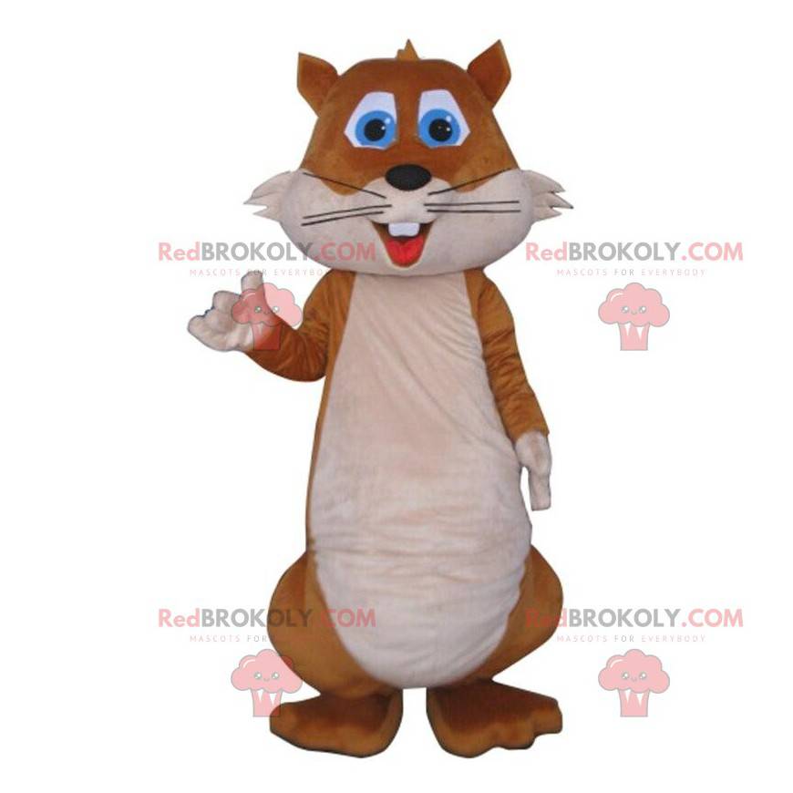 Brown and white squirrel mascot, forest costume - Redbrokoly.com