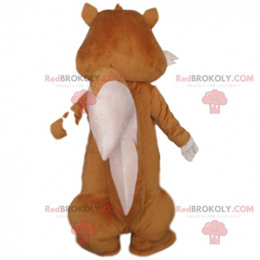 Brown and white squirrel mascot, forest costume - Redbrokoly.com