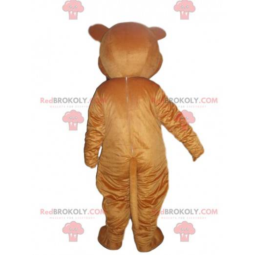 Mascotte de nounours marron et blanc, costume d'ours -