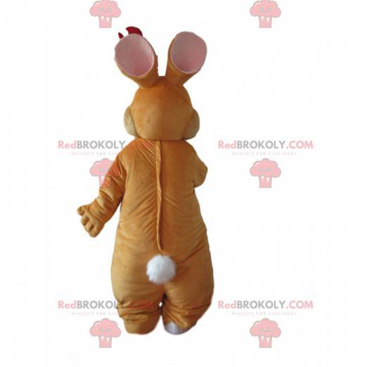 Brown and white rabbit mascot with pretty blue eyes -