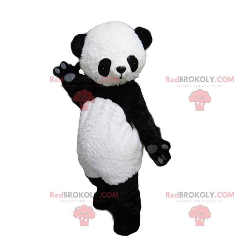Black and white panda mascot, cute and captivating -