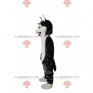 Mascotte de chien husky noir et blanc, costume de chien loup -