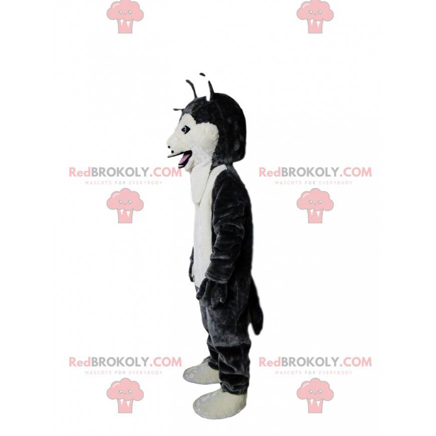 Zwart en wit husky hond mascotte, wolfshond kostuum -