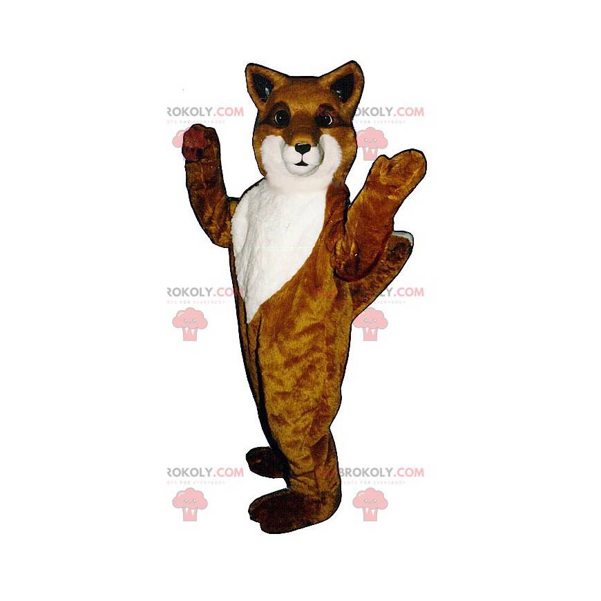 Mascote raposa laranja e branca - Redbrokoly.com