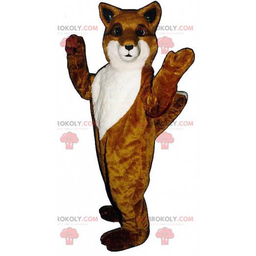 Mascote raposa laranja e branca - Redbrokoly.com