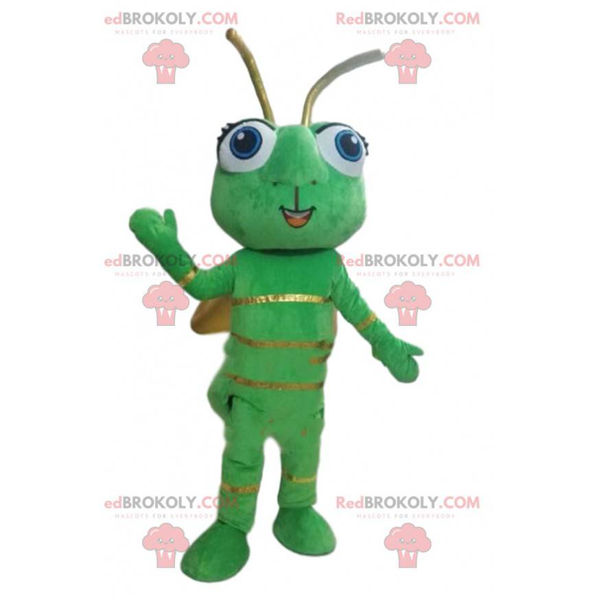 Mascotte de luciole, d'insecte vert, costume d'animal volant -