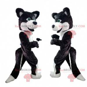 Mascotte de chien noir et blanc, costume de chien loup -
