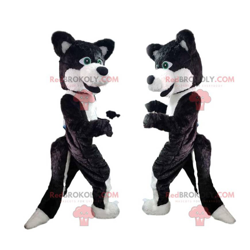 Black and white dog mascot, wolf dog costume - Redbrokoly.com
