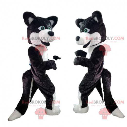 Black and white dog mascot, wolf dog costume - Redbrokoly.com