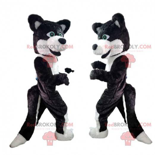 Sort og hvid hundemaskot, ulvehundedragt - Redbrokoly.com