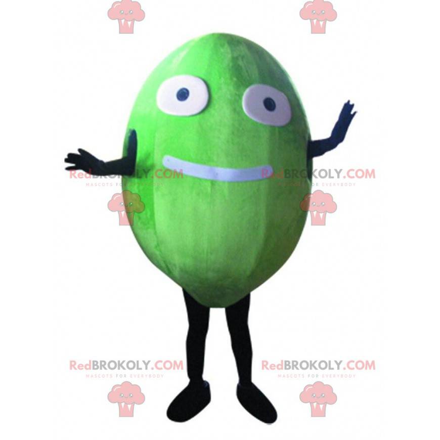 Melon mascot, giant and funny oval fruit costume -