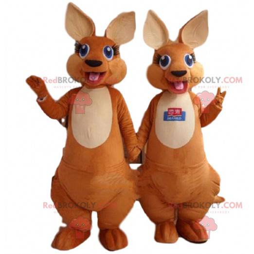 2 mascots of brown and white kangaroos with blue eyes -