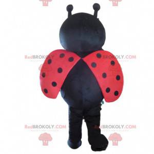 Red and black ladybug mascot, flying insect costume -