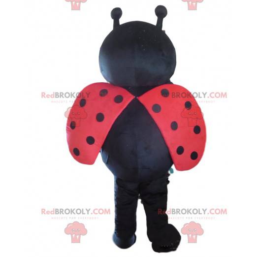 Mascote joaninha vermelha e preta, fantasia de inseto voador -