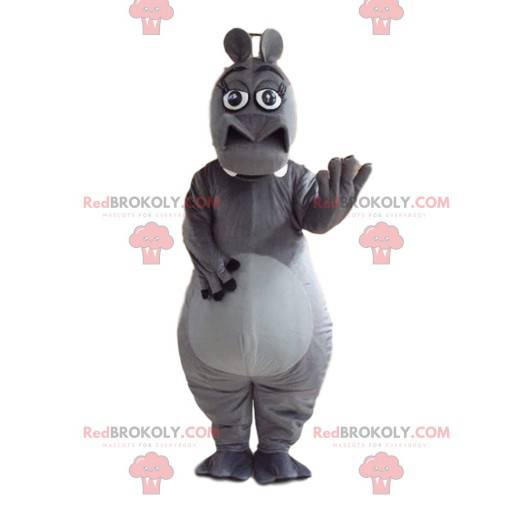 Mascote de Glória, o famoso hipopótamo do filme Madagascar -