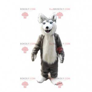 Mascotte de husky gris et blanc, costume de chien loup poilu -