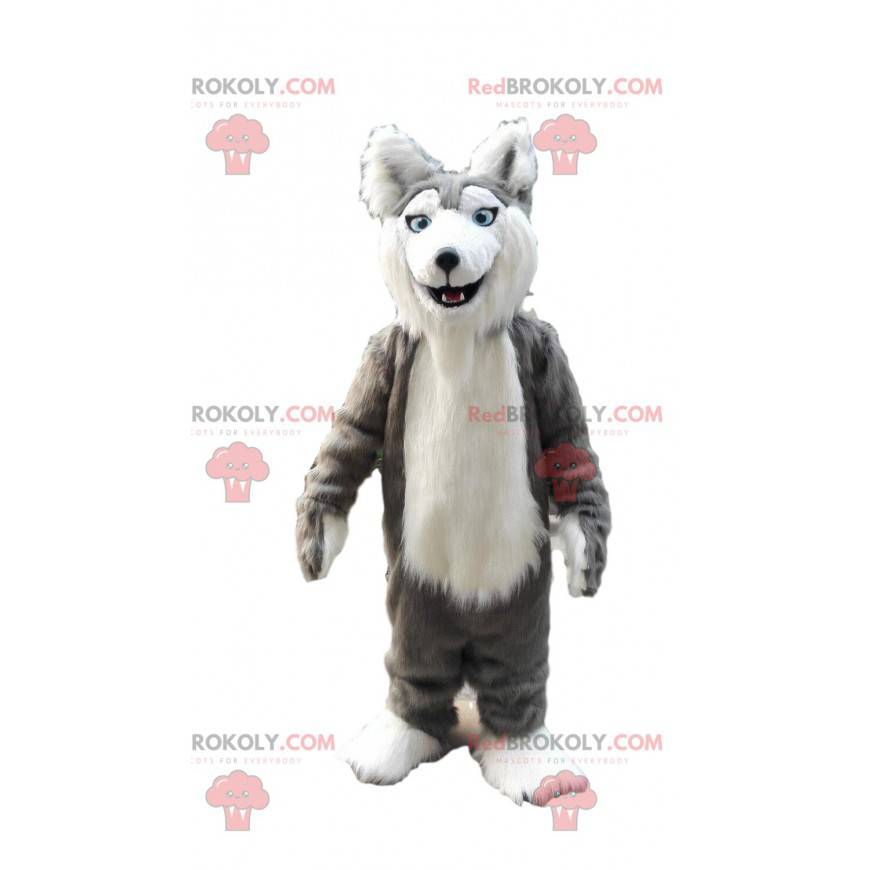 Grijze en witte husky mascotte, kostuum harige wolf hond -