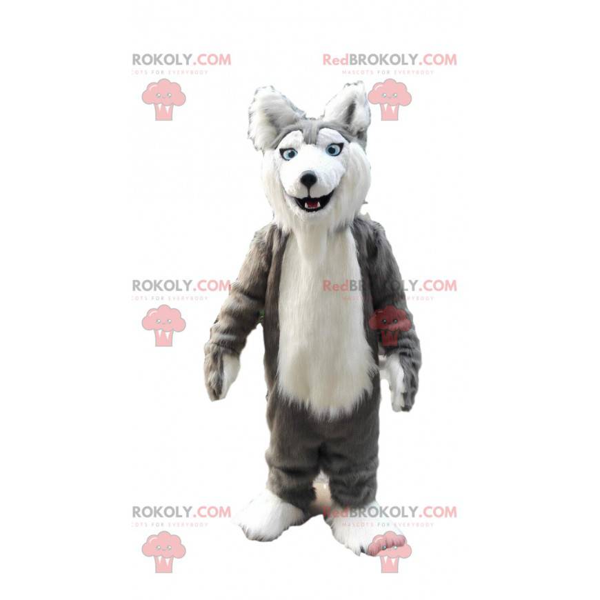 Grå och vit husky maskot, hårig varghunddräkt - Redbrokoly.com Grå och vit husky maskot, hårig varghunddräkt - Redbrokoly.com