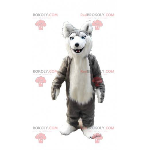 Grå og hvit husky maskot, hårete ulvehunddrakt - Redbrokoly.com