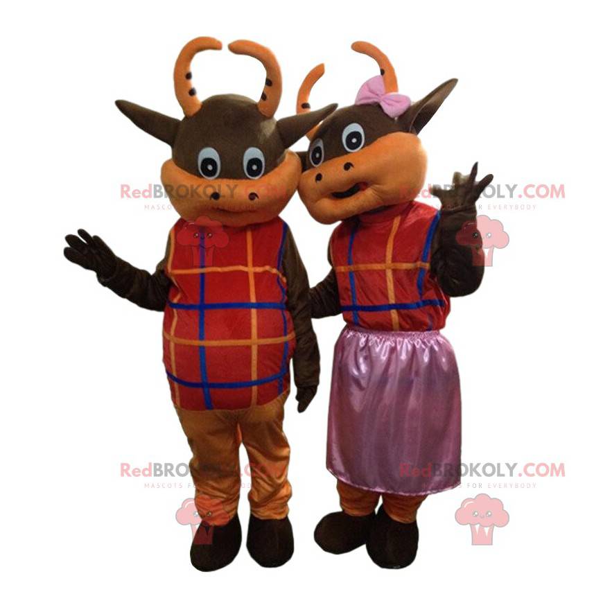 2 brown and orange cows dressed in colorful outfits -