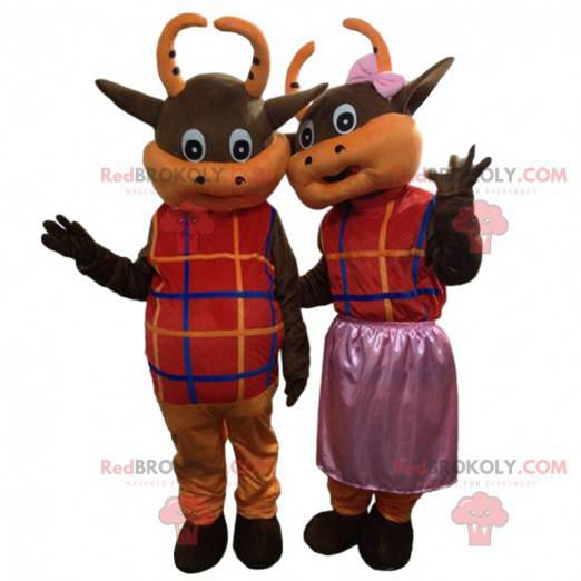 2 brown and orange cows dressed in colorful outfits -