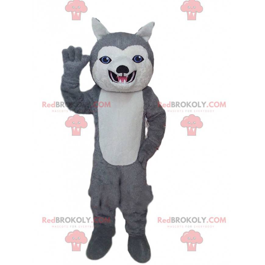 Gray and white husky mascot, dog costume with blue eyes -