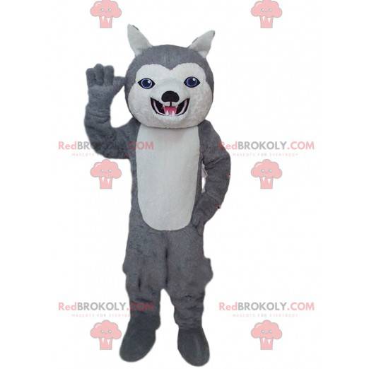 Grijs en wit husky mascotte, hondenkostuum met blauwe ogen -