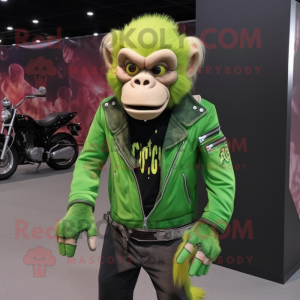 Lime Green Capuchin Monkey...