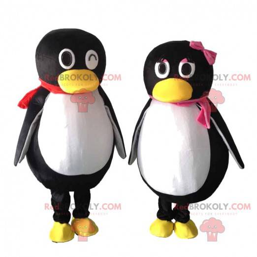 2 mascotes de pinguins pretos e brancos, um casal de pinguins -