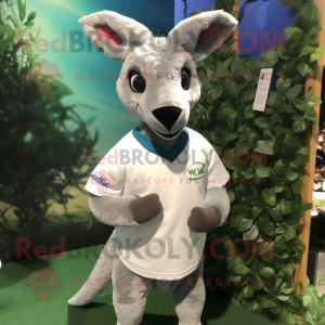 Silver Kangaroo mascotte...