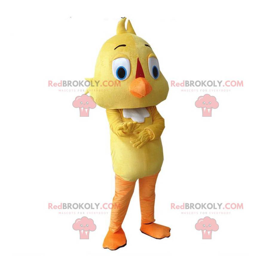 Disfraz de canario, disfraz de pájaro amarillo, mascota